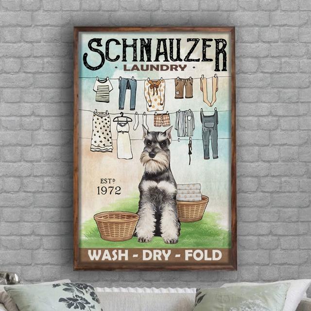 Schnauzer Dog Laundry Poster